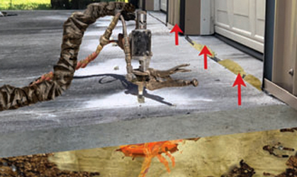 dual component systems and polypier